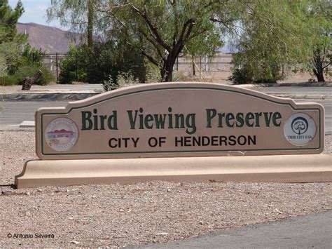 las vegas bird watching preserve